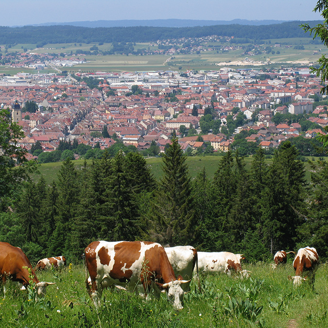 Doubs Jura