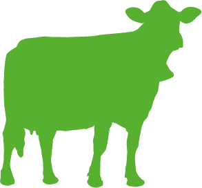 vache